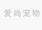 狗狗生产后多久可以洗澡